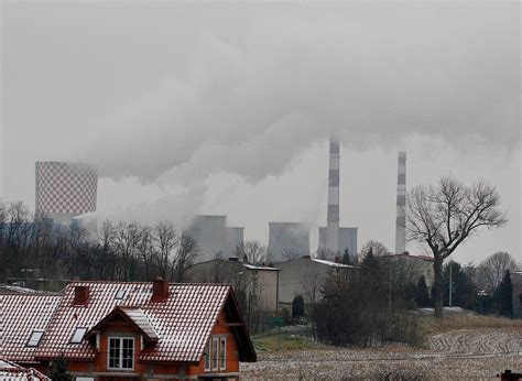 miljöproblem svenska
